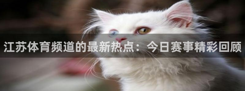 看球吧直播入口：江苏体育频道的最新热点：今日赛事精彩回顾