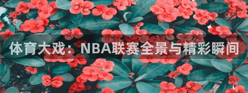 jrs直播看球吧：体育大戏：NBA联赛全景与精彩瞬间