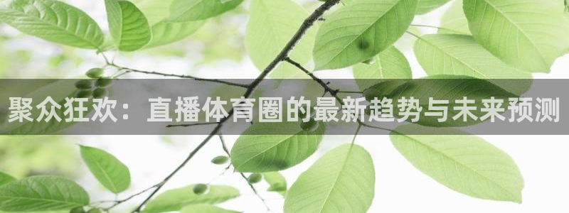 24直播吧 看球吧：聚众狂欢：直播体育圈的最新趋势与未来预测