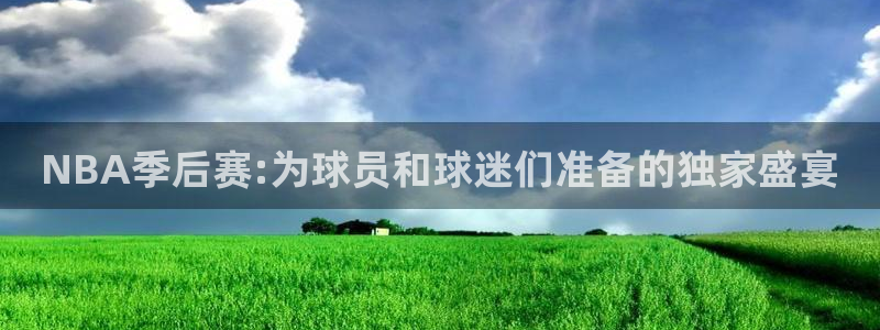 nba免费直播看球吧：NBA季后赛:为球员和球迷们准备的独家盛宴