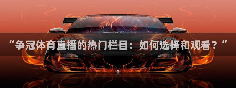 看球吧nba直播吧在线直播：“争冠体育直播的热门栏目：如何选择和观看？”