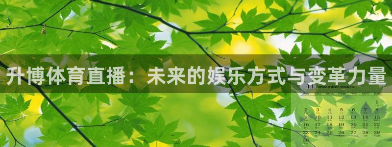 nba在线直播观看直播看球吧：升博体育直播：未来的娱乐方式与变革力量
