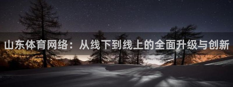 看球吧直播网：山东体育网络：从线下到线上的全面升级与创新
