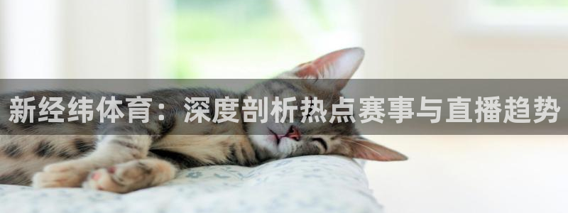 看球吧直播在线观看：新经纬体育：深度剖析热点赛事与直播趋势